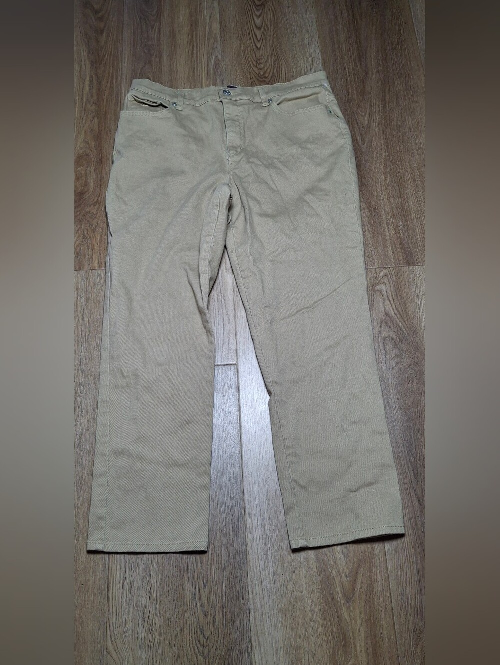 Womens Minimalism Normcore Y2K Aesthetic Gloria Vanderbilt Amanda  Pants Size 16